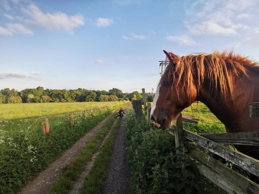 Ender'S Place. A Lovely Home Close To Durham City. New Brancepeth Esterno foto
